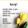 '출석합니다 ' 글에 포함된 이미지