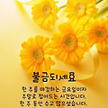 '출석합니다 ' 글에 포함된 이미지