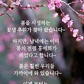'출석합니다 ' 글에 포함된 이미지