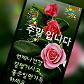 '출석합니다 ' 글에 포함된 이미지