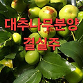 '오늘도화이팅하세요' 글에 포함된 이미지