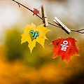 '짠뜩 흐린날오늘은 서' 글에 포함된 이미지