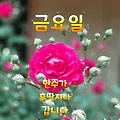 '출석합니다 ' 글에 포함된 이미지