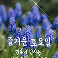 '출석합니다 ' 글에 포함된 이미지