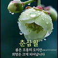 '출석합니다 ' 글에 포함된 이미지