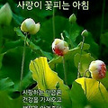 '새벽출석입니다' 글에 포함된 이미지