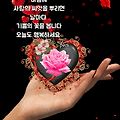 '때로 인생은 우리를 ' 글에 포함된 이미지