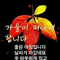 '가을이 떠날준비를 하' 글에 포함된 이미지