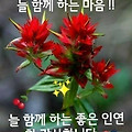 '기쁜 한주간 되셔요' 글에 포함된 이미지