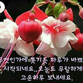 '세월이 더하기를 할수' 글에 포함된 이미지