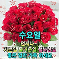 '출석합니다 ' 글에 포함된 이미지
