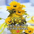 '출석합니다 ' 글에 포함된 이미지