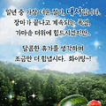 '출석합니다 ' 글에 포함된 이미지