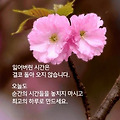 '출석합니다 ' 글에 포함된 이미지