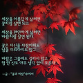 '출석합니다 ' 글에 포함된 이미지
