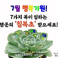 '출석합니다.' 글에 포함된 이미지