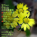 '출석합니다 ' 글에 포함된 이미지