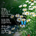 '출석합니다 ' 글에 포함된 이미지