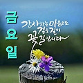 '출석합니다 ' 글에 포함된 이미지