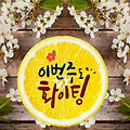 '출석합니다 ' 글에 포함된 이미지