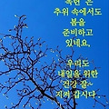 '출석합니다 ' 글에 포함된 이미지