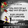 '사람이 살아가는데는~' 글에 포함된 이미지