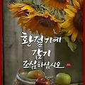 '출석합니다 ' 글에 포함된 이미지