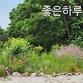 '출석합니다~' 글에 포함된 이미지