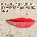 '출석합니다 ' 글에 포함된 이미지