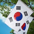'다시 폭우가 시작된 ' 글에 포함된 이미지