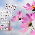 '출석합니다 ' 글에 포함된 이미지