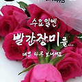 '출석합니다 ' 글에 포함된 이미지