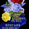 '안녕ㅎ포근한 날씨에' 글에 포함된 이미지