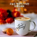 '출석합니다 ' 글에 포함된 이미지