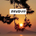 '출석합니다!' 글에 포함된 이미지