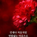 '출석합니다 ' 글에 포함된 이미지