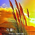 '또 한주의 첫날 월요' 글에 포함된 이미지