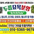 '오늘도  좋은하루 되' 글에 포함된 이미지