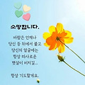 '출석합니다 ' 글에 포함된 이미지