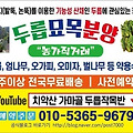 '출석합니다 ' 글에 포함된 이미지