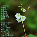 '출석합니다 ' 글에 포함된 이미지