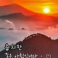 '출석합니다 ' 글에 포함된 이미지