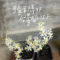 '출석합니다!' 글에 포함된 이미지