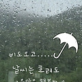 'ㅊ' 글에 포함된 이미지