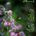 '출석합니다 ' 글에 포함된 이미지