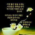 '출석합니다 ' 글에 포함된 이미지