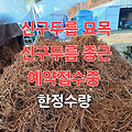 '출석합니다 오늘아침 ' 글에 포함된 이미지