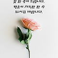 '출석합니다 ' 글에 포함된 이미지