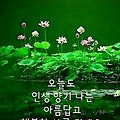 '출석합니다 ' 글에 포함된 이미지