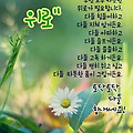 '출석합니다 ' 글에 포함된 이미지